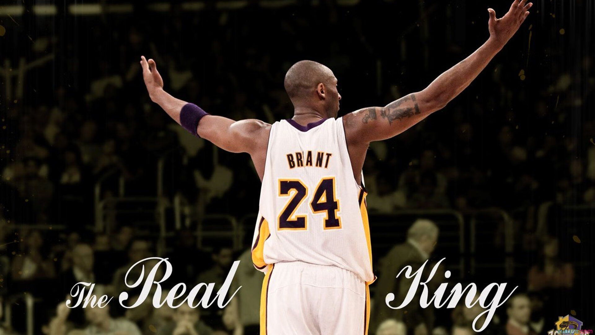 大型草原搏克比赛，蒙古族传统体育盛事，蒙古博克的比赛规则